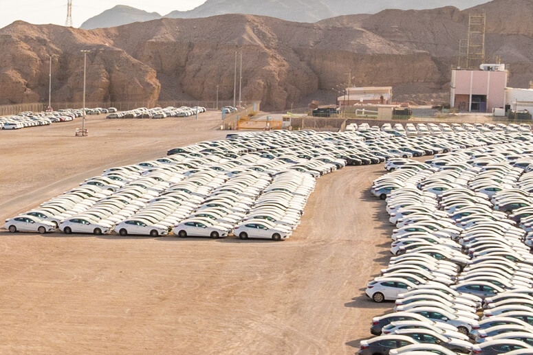 יותר ממחצית אזרחי ישראל מחזיקים ברישיון נהיגה